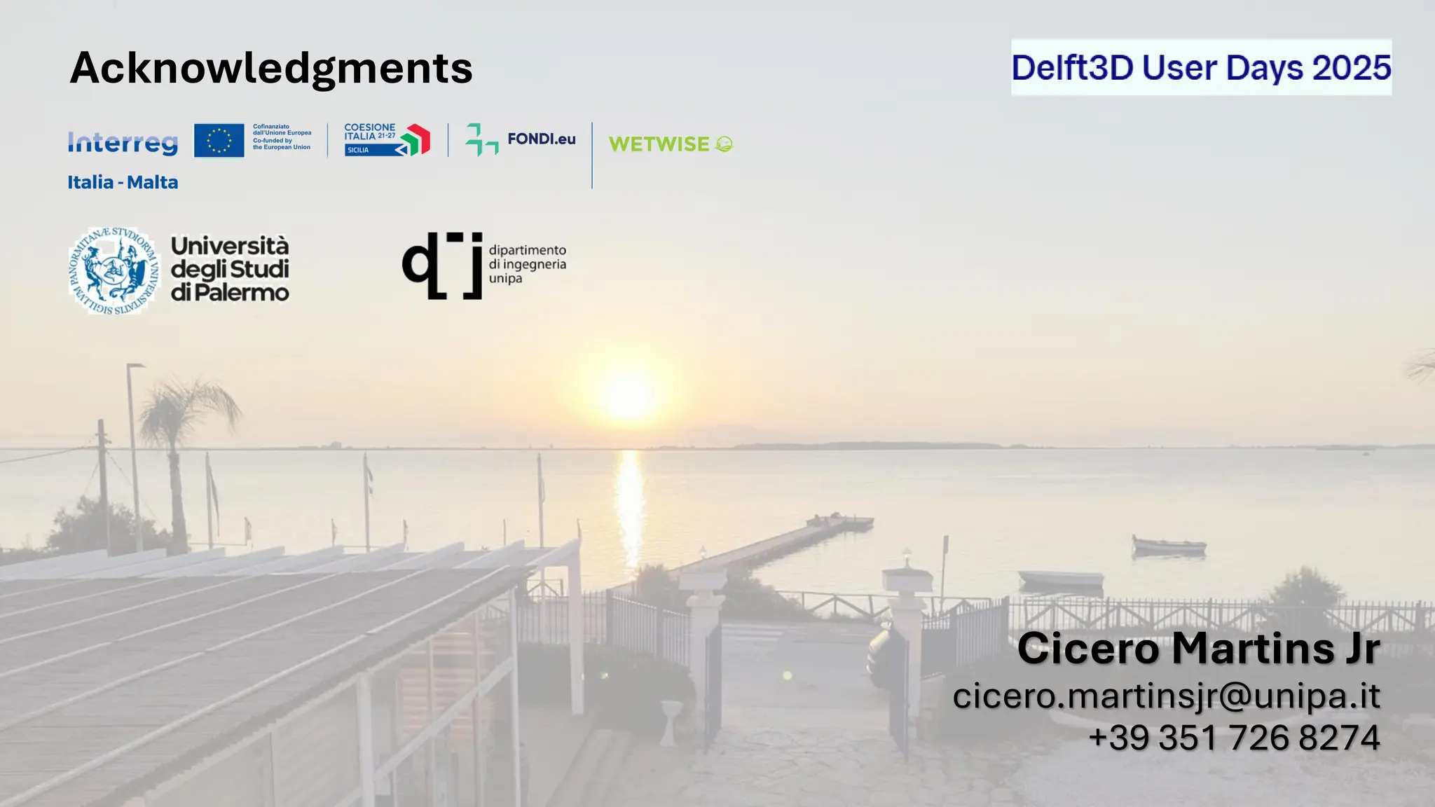 Acknowledgments
Cicero Martins Jr
cicero.martinsjr@unipa.it
+39 351 726 8274
 