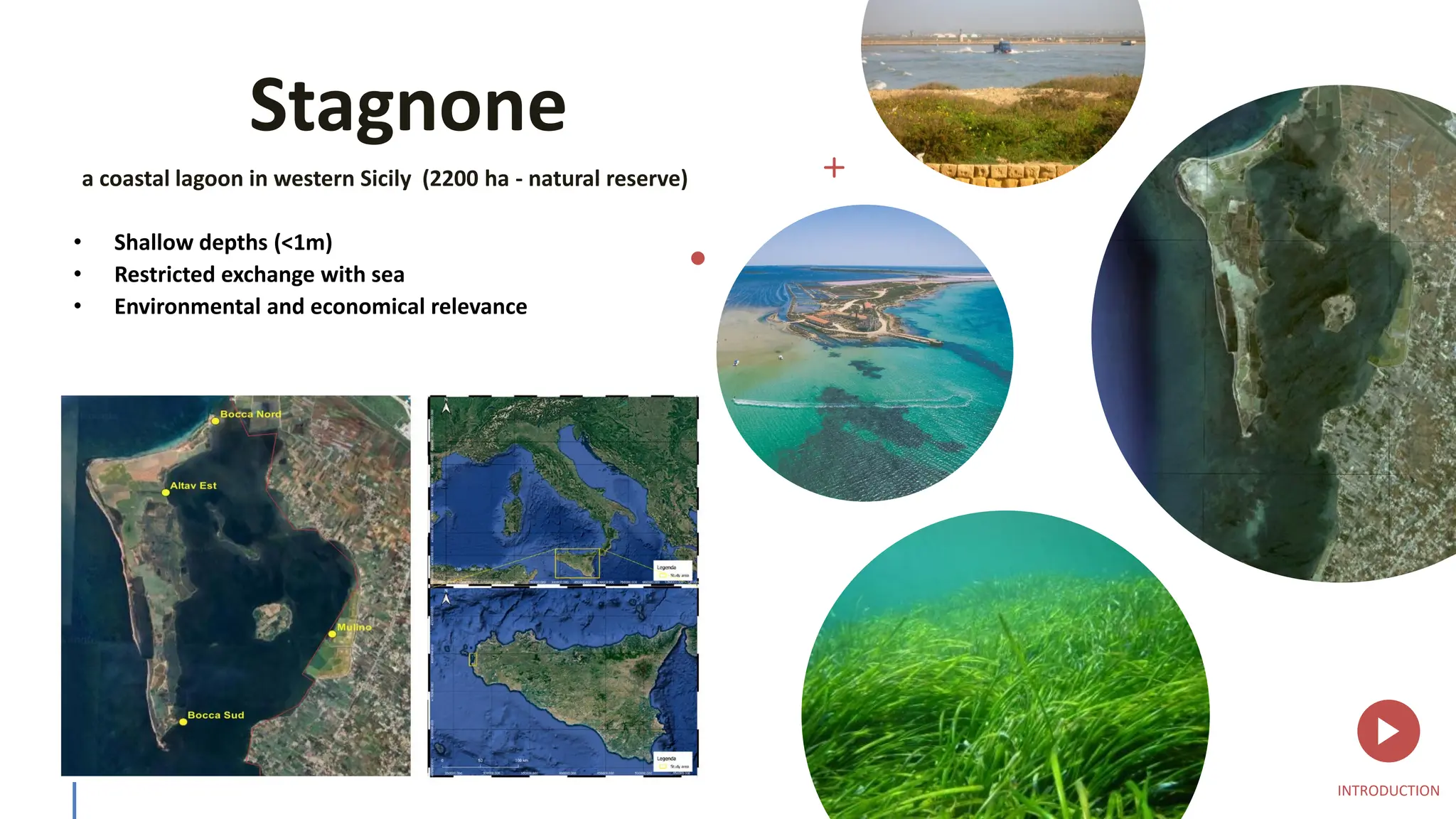 Stagnone
a coastal lagoon in western Sicily (2200 ha - natural reserve)
• Shallow depths (<1m)
• Restricted exchange with sea
• Environmental and economical relevance
INTRODUCTION
 