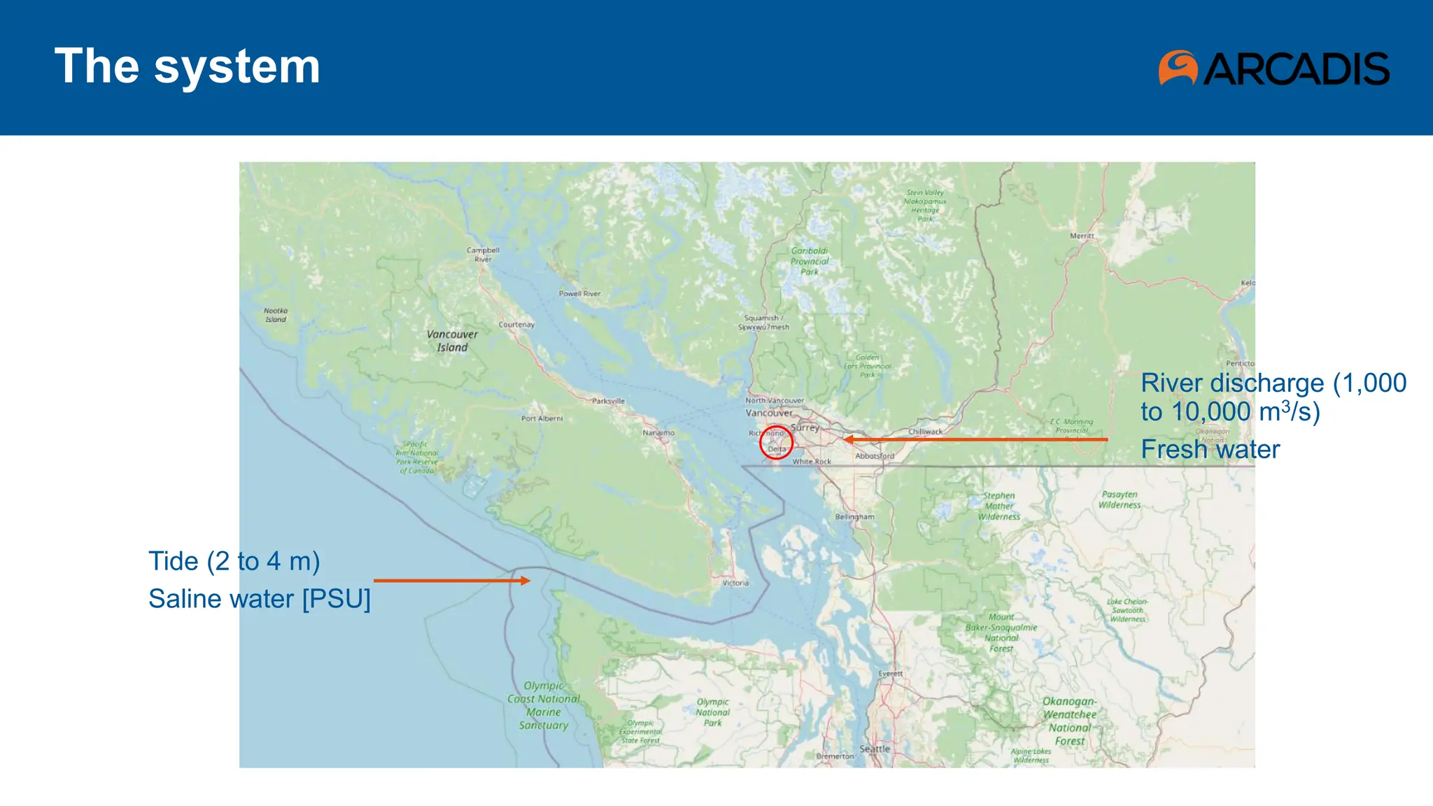 The system
River discharge (1,000
to 10,000 m3/s)
Fresh water
Tide (2 to 4 m)
Saline water [PSU]
 