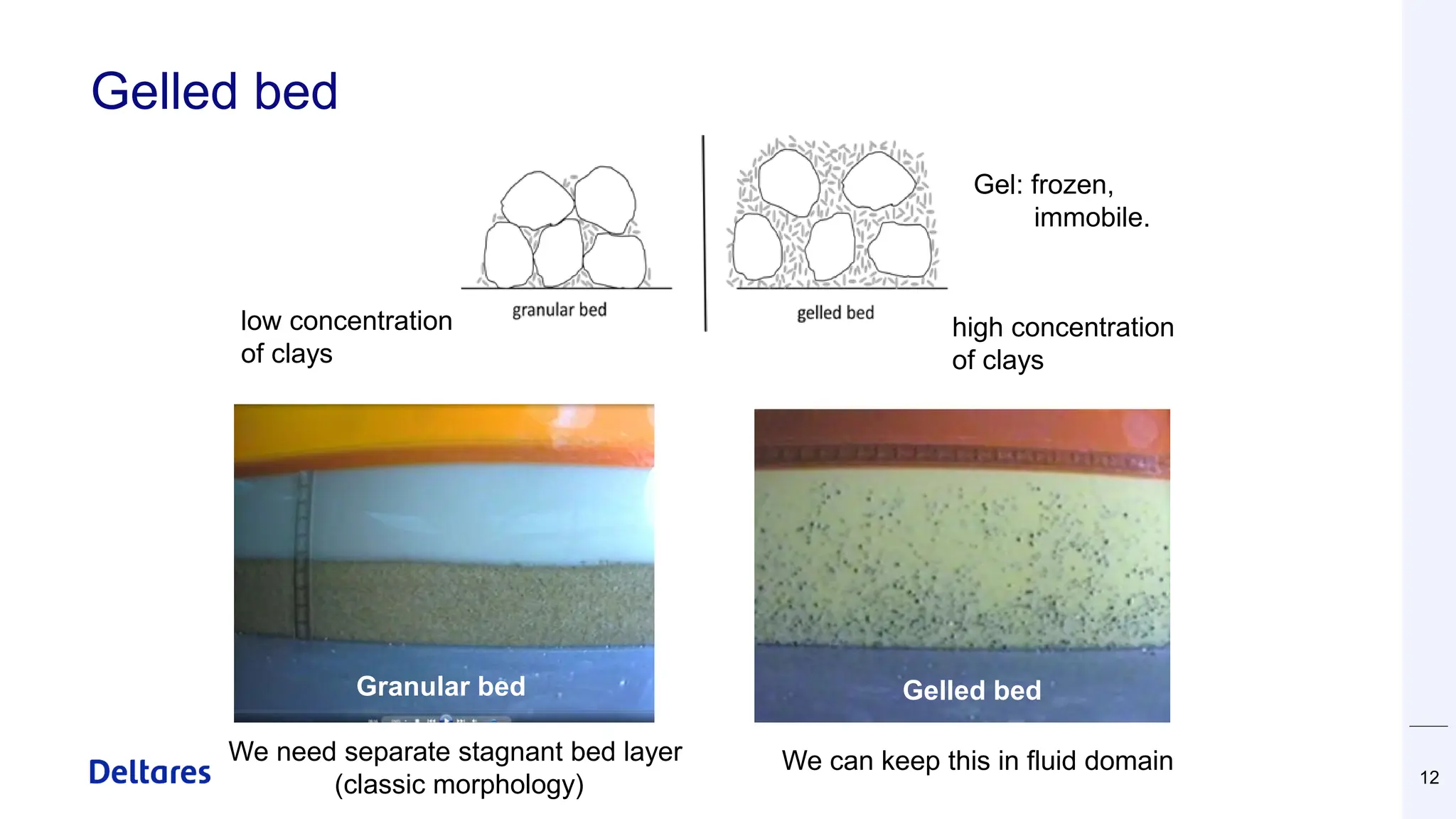 Gelled bed
12
low concentration
of clays
high concentration
of clays
Gelled bed
Granular bed
Gel: frozen,
immobile.
We can keep this in fluid domain
We need separate stagnant bed layer
(classic morphology)
 