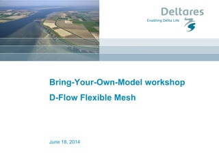 June 18, 2014
Bring-Your-Own-Model workshop
D-Flow Flexible Mesh
 