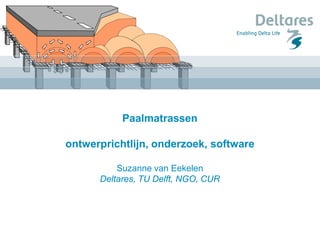 Paalmatrassen
ontwerprichtlijn, onderzoek, software
Suzanne van Eekelen
Deltares, TU Delft, NGO, CUR
 