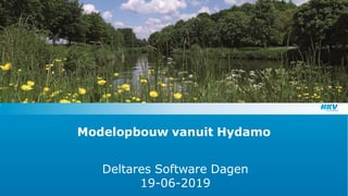 Modelopbouw vanuit Hydamo
Deltares Software Dagen
19-06-2019
 