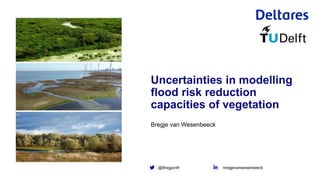 Bregje van Wesenbeeck
@BregjevW
Uncertainties in modelling
flood risk reduction
capacities of vegetation
bregjevanwesenbeeck
 