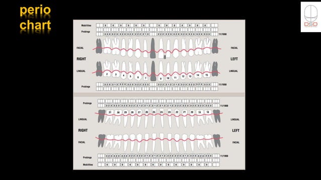 dsd-template-ppt