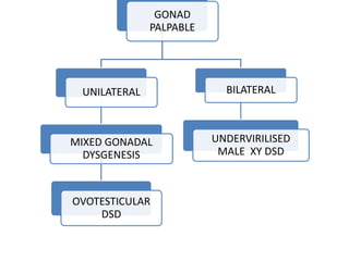 GONAD
PALPABLE
UNILATERAL
MIXED GONADAL
DYSGENESIS
OVOTESTICULAR
DSD
BILATERAL
UNDERVIRILISED
MALE XY DSD
 