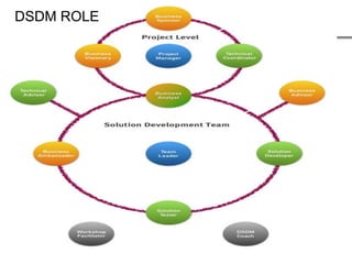 DSDM ROLE
 