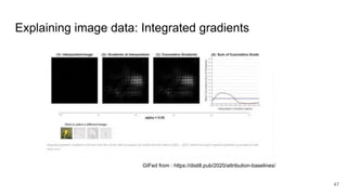 47
Explaining image data: Integrated gradients
GIFed from : https://distill.pub/2020/attribution-baselines/
 