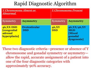 Rapid Diagnostic Algorithm
These two diagnostic criteria—presence or absence of Y
chromosome and gonadal symmetry or asymmetry—
allow the rapid, accurate assignment of a patient into
one of the four diagnostic categories with
approximately 90% accuracy.
Y Chromosome PresentY Chromosome Absent or
Abnormal
AsymmetrySymmetryAsymmetrySymmetry
46,XX/46,XY
MGD
[Mixed
gonadal
dysgenesis]
46,XY
DSD
Ovotesticular
DSD
46,XX DSD
[congenital
adrenal
hyperplasia]
 