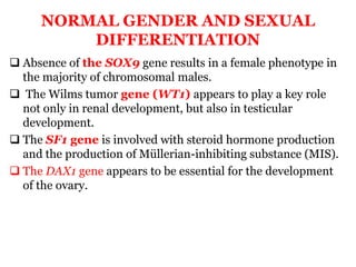 NORMAL GENDER AND SEXUAL
DIFFERENTIATION
 Absence of the SOX9 gene results in a female phenotype in
the majority of chromosomal males.
 The Wilms tumor gene (WT1) appears to play a key role
not only in renal development, but also in testicular
development.
 The SF1 gene is involved with steroid hormone production
and the production of Müllerian-inhibiting substance (MIS).
 The DAX1 gene appears to be essential for the development
of the ovary.
 