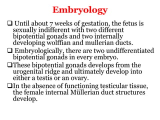 Embryology
 Until about 7 weeks of gestation, the fetus is
sexually indifferent with two different
bipotential gonads and two internally
developing wolffian and mullerian ducts.
 Embryologically, there are two undifferentiated
bipotential gonads in every embryo.
These bipotential gonads develops from the
urogenital ridge and ultimately develop into
either a testis or an ovary.
In the absence of functioning testicular tissue,
the female internal Müllerian duct structures
develop.
 