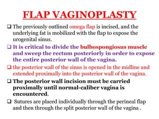 FLAP VAGINOPLASTY
 The previously outlined omega flap is incised, and the
underlying fat is mobilized with the flap to expose the
urogenital sinus.
 It is critical to divide the bulbospongiosus muscle
and sweep the rectum posteriorly in order to expose
the entire posterior wall of the vagina.
 the posterior wall of the sinus is opened in the midline and
extended proximally into the posterior wall of the vagina.
 The posterior wall incision must be carried
proximally until normal-caliber vagina is
encountered.
 Sutures are placed individually through the perineal flap
and then through the split posterior wall of the vagina .
 