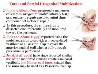 Total and Partial Urogenital Mobilization
 In 1997, Alberto Pena proposed a maneuver
called total urogenital mobilization (TUM)
as a means to repair the urogenital sinus
component of a cloacal repair.
 In this procedure, the entire sinus is
dissected circumferentially and mobilized
toward the perineum.
 Rink and Adams (1999) reported using the
mobilized sinus to provide a mucosa-lined
vestibule or a Passerini flap to cover the
anterior vaginal wall when a pull-through
procedure is performed.
 Jenak et al (2001) have since reported similar
use of the mobilized sinus to create a mucosal
vestibule, and Hamza et al (2001) stated that
the sinus may be used as a Passerini-like flap.
 