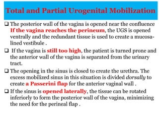 Total and Partial Urogenital Mobilization
 The posterior wall of the vagina is opened near the confluence
If the vagina reaches the perineum, the UGS is opened
ventrally and the redundant tissue is used to create a mucosa-
lined vestibule .
 If the vagina is still too high, the patient is turned prone and
the anterior wall of the vagina is separated from the urinary
tract.
 The opening in the sinus is closed to create the urethra. The
excess mobilized sinus in this situation is divided dorsally to
create a Passerini flap for the anterior vaginal wall .
 If the sinus is opened laterally, the tissue can be rotated
inferiorly to form the posterior wall of the vagina, minimizing
the need for the perineal flap .
 