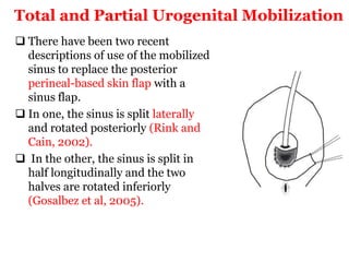 Total and Partial Urogenital Mobilization
 There have been two recent
descriptions of use of the mobilized
sinus to replace the posterior
perineal-based skin flap with a
sinus flap.
 In one, the sinus is split laterally
and rotated posteriorly (Rink and
Cain, 2002).
 In the other, the sinus is split in
half longitudinally and the two
halves are rotated inferiorly
(Gosalbez et al, 2005).
 