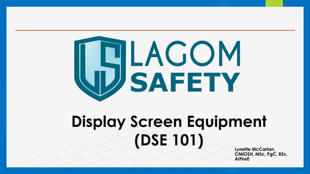 Display Screen Equipment | PDF