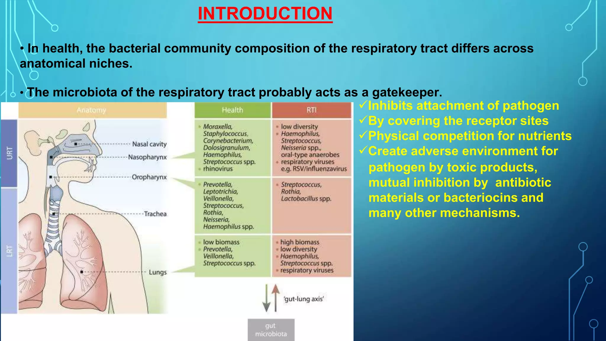 The microbiota of the respiratory tract | PPTX