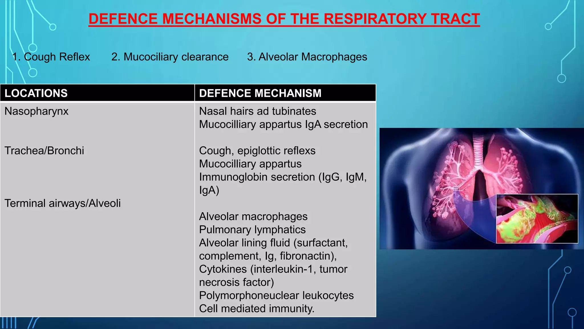 The microbiota of the respiratory tract | PPTX