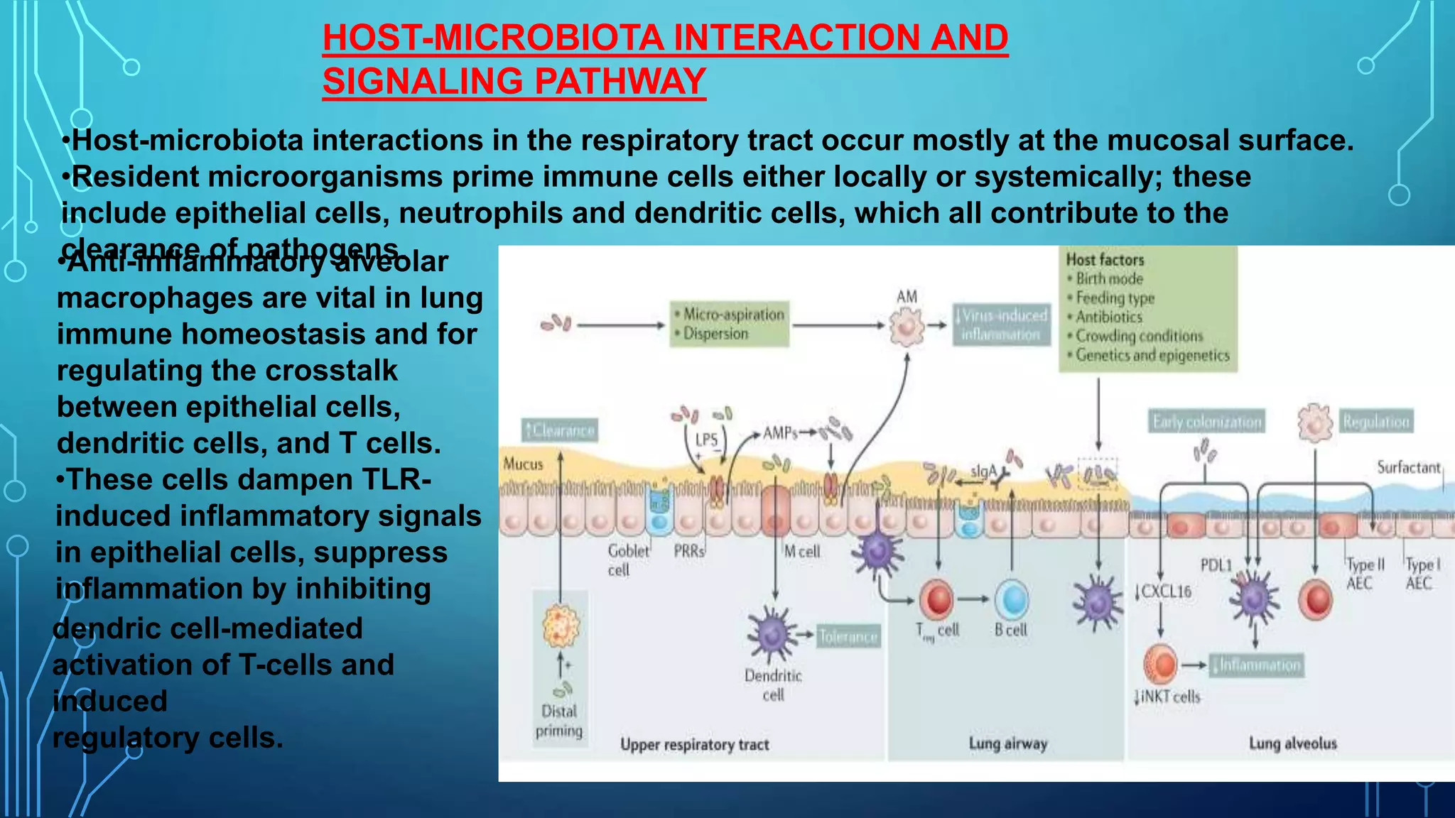 Resident Pathogens The microbiota of the respiratory tract | PPTX