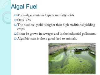 Biodiesel and Bioalcohol contains no sulphur. It has natural lubricity and thus lubricity enhancing additive is required.BioethanolBrazil stands 1st in terms of Biofuel consumption. 