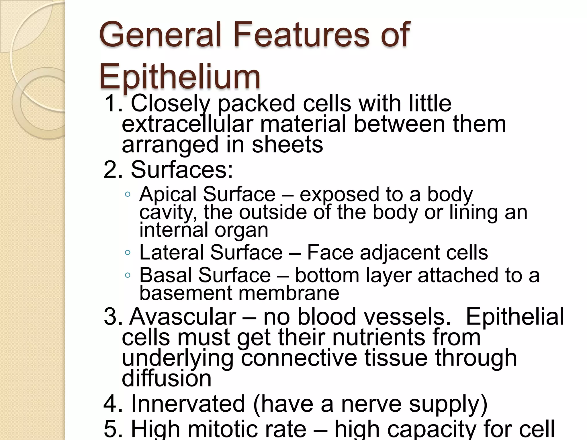 Dse of the epithelium by dr.shumayla aslam | PPTX