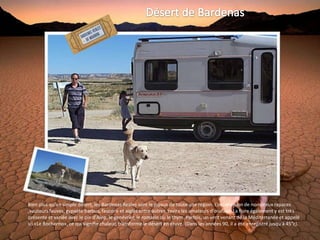 Bien plus qu'un simple désert, les Bardenas Reales sont le joyaux de toute une région. L’observation de nombreux rapaces
,vautours fauves, gypaète barbus, faucons et aigles entre autres, ravira les amateurs d'oiseaux. La flore également y est très
présente et variée avec le pin d'Alep, le genévrier, le romarin ou le thym. Parfois, un vent venant de la Méditerranée et appelé
ici «Le Bochorno», ce qui signifie chaleur, transforme le désert en étuve. (Dans les années 90, il a été enregistré jusqu'à 45°c).
 