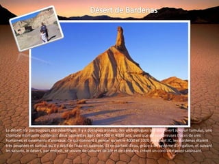 Le désert n’a pas toujours été désertique. Il y a quelques années, des archéologues ont découvert sous un tumulus, une
chambre mortuaire contenant deux squelettes âgés de 4100 et 4300 ans, ainsi que de nombreuses traces de vies
humaines et ossements d’animaux. Ce qui donnent à penser qu’entre 4000 et 1000 ans avant JC, les Bardenas étaient
très peuplées et surtout qu’il y avait de l’eau en quantité. Et en parlant d’eau, grâce à un système d’irrigation, et suivant
les saisons, le désert, par endroit, se couvre de cultures de blé et de céréales, créant un contraste assez saisissant.
 