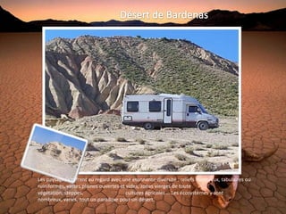 Les paysages s'offrent au regard avec une étonnante diversité : reliefs montueux, tabulaires ou
ruiniformes, vastes plaines ouvertes et vides, zones vierges de toute
végétation, steppes,                    cultures agricoles … Les écosystèmes y sont
nombreux, variés, tout un paradoxe pour un désert.
 