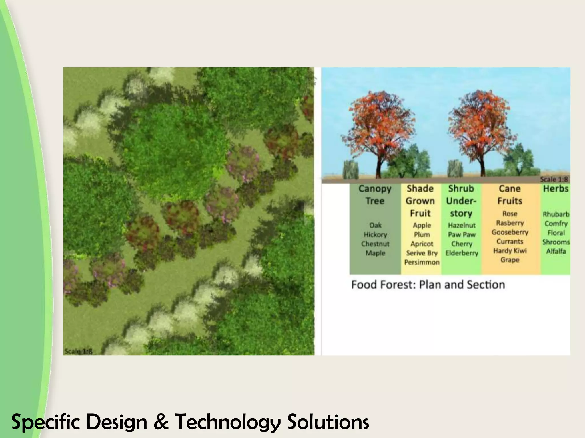 Specific Design & Technology Solutions