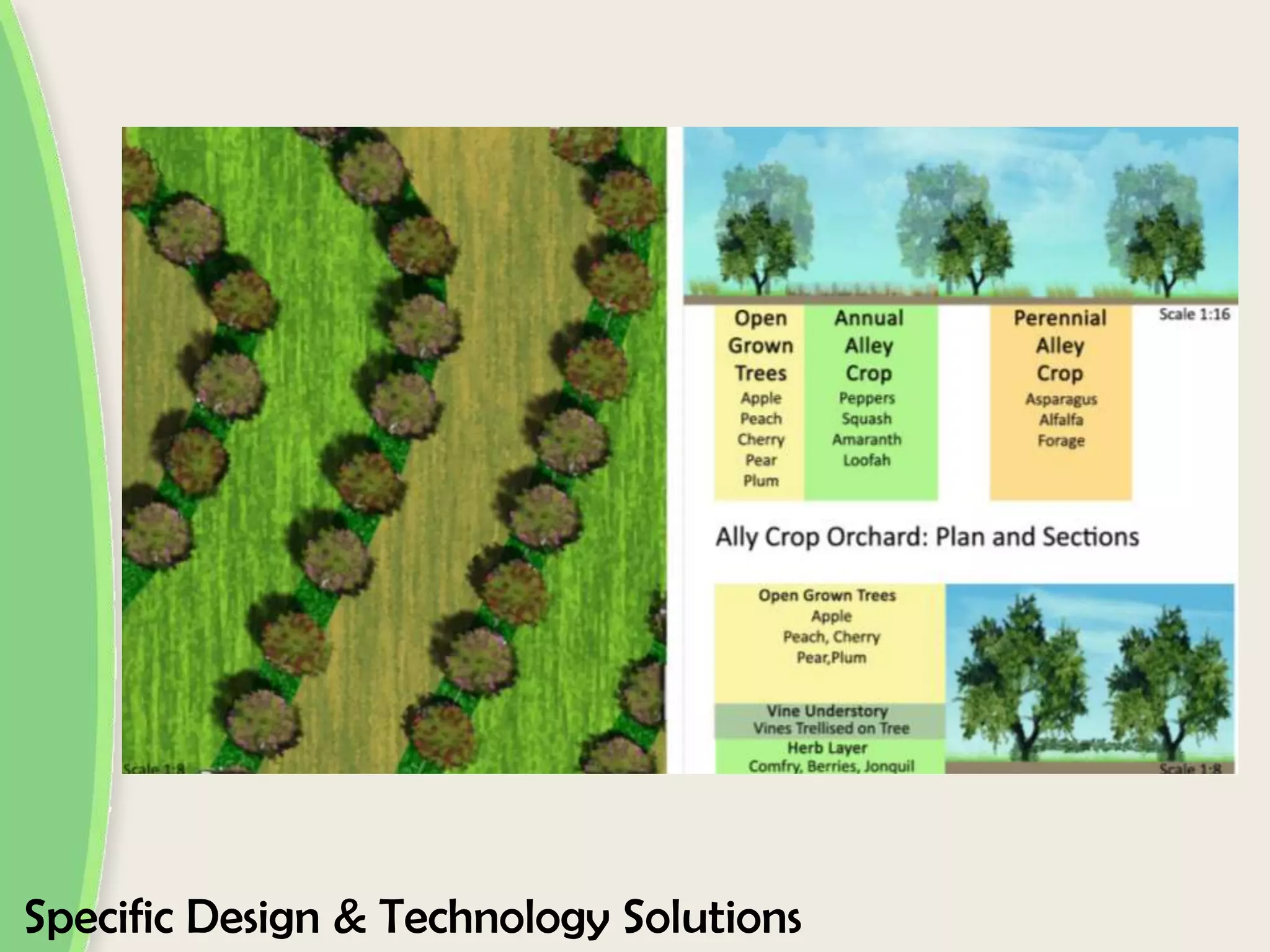 Specific Design & Technology Solutions