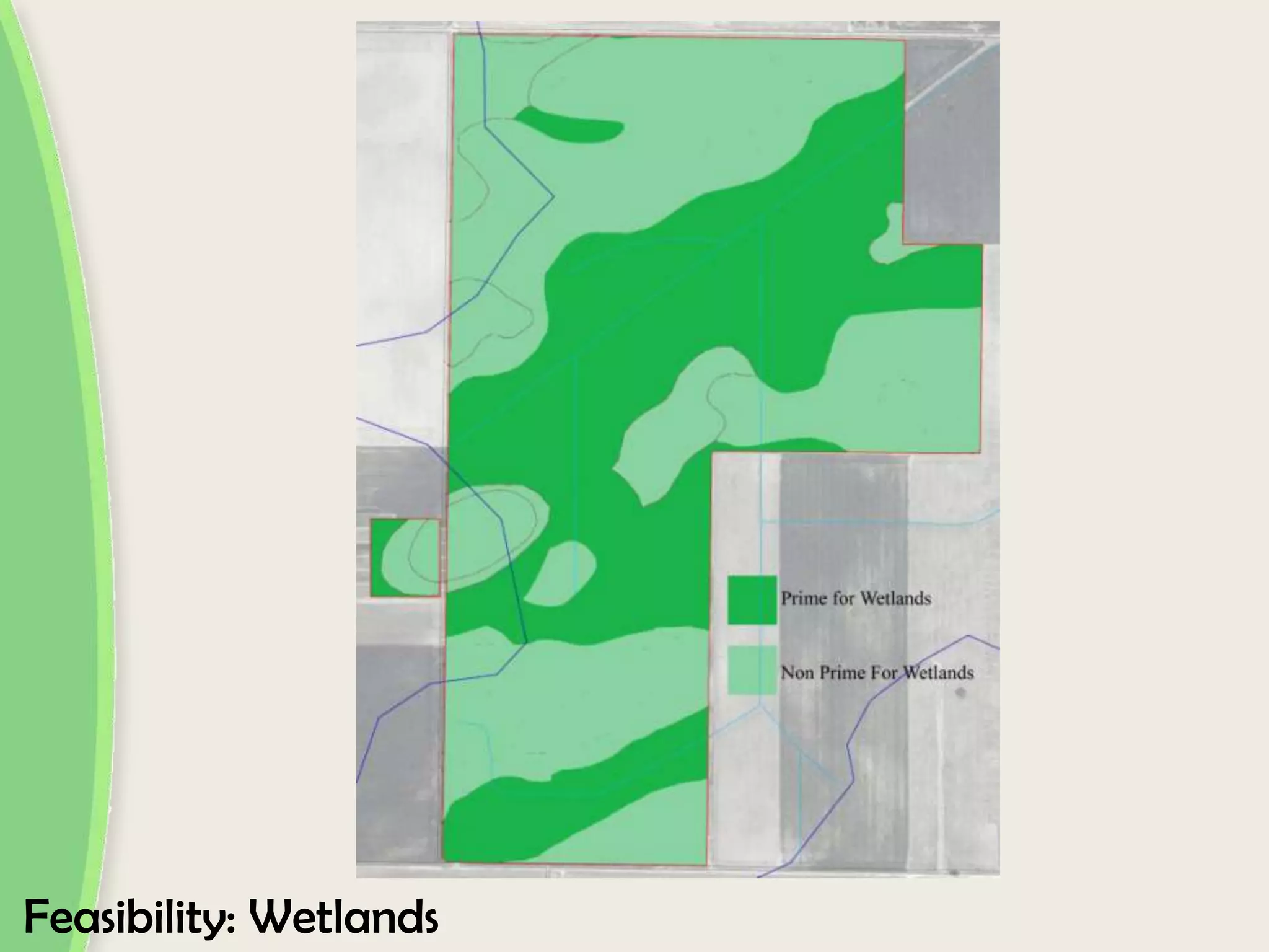 Feasibility: Wetlands