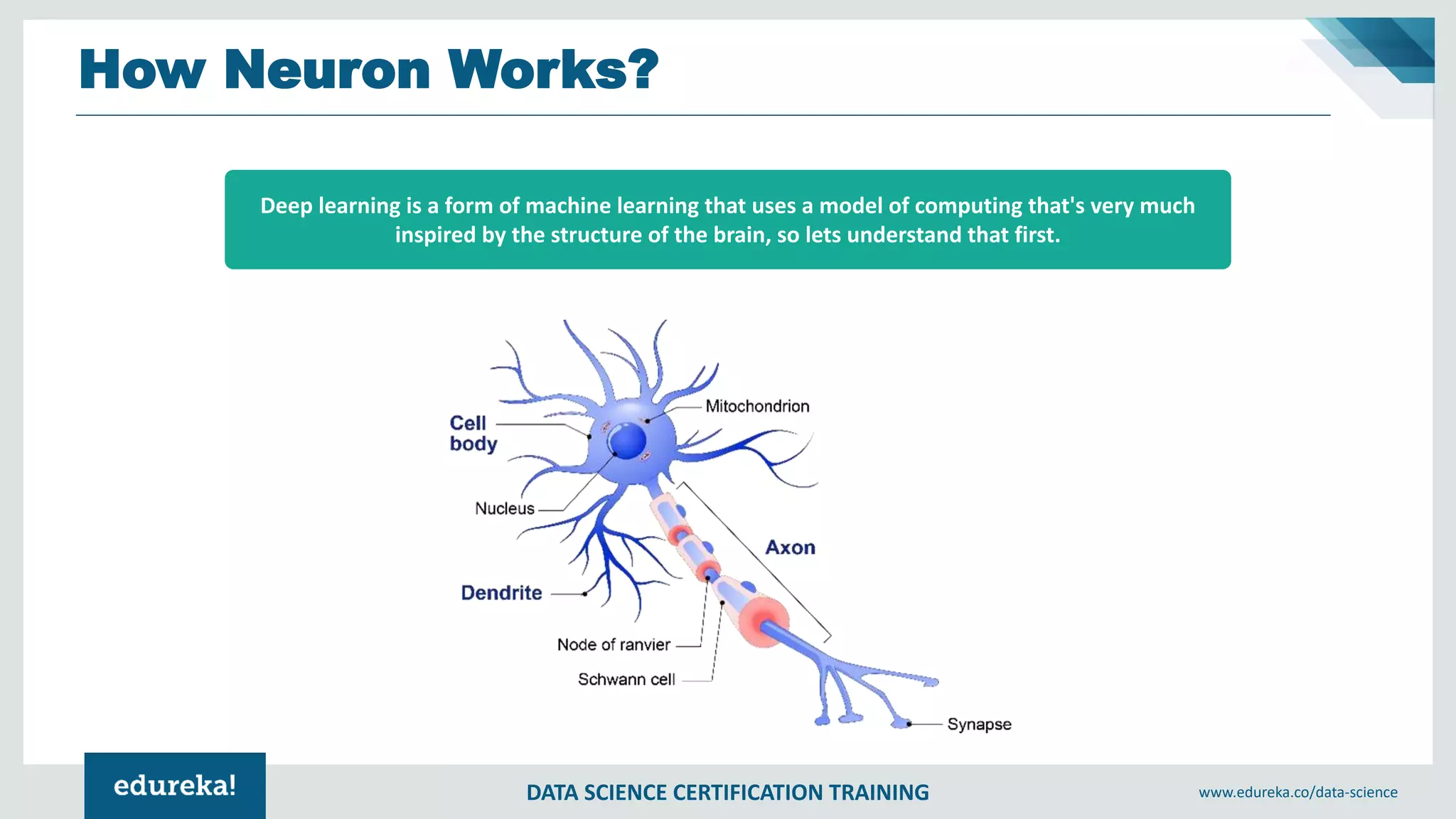 DATA SCIENCE CERTIFICATION TRAINING www.edureka.co/data-science
How Neuron Works?
Deep learning is a form of machine learning that uses a model of computing that's very much
inspired by the structure of the brain, so lets understand that first.
 