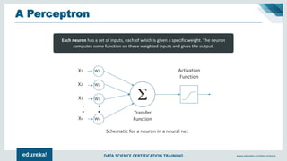 DATA SCIENCE CERTIFICATION TRAINING www.edureka.co/data-science
A Perceptron
Each neuron has a set of inputs, each of which is given a specific weight. The neuron
computes some function on these weighted inputs and gives the output.
 