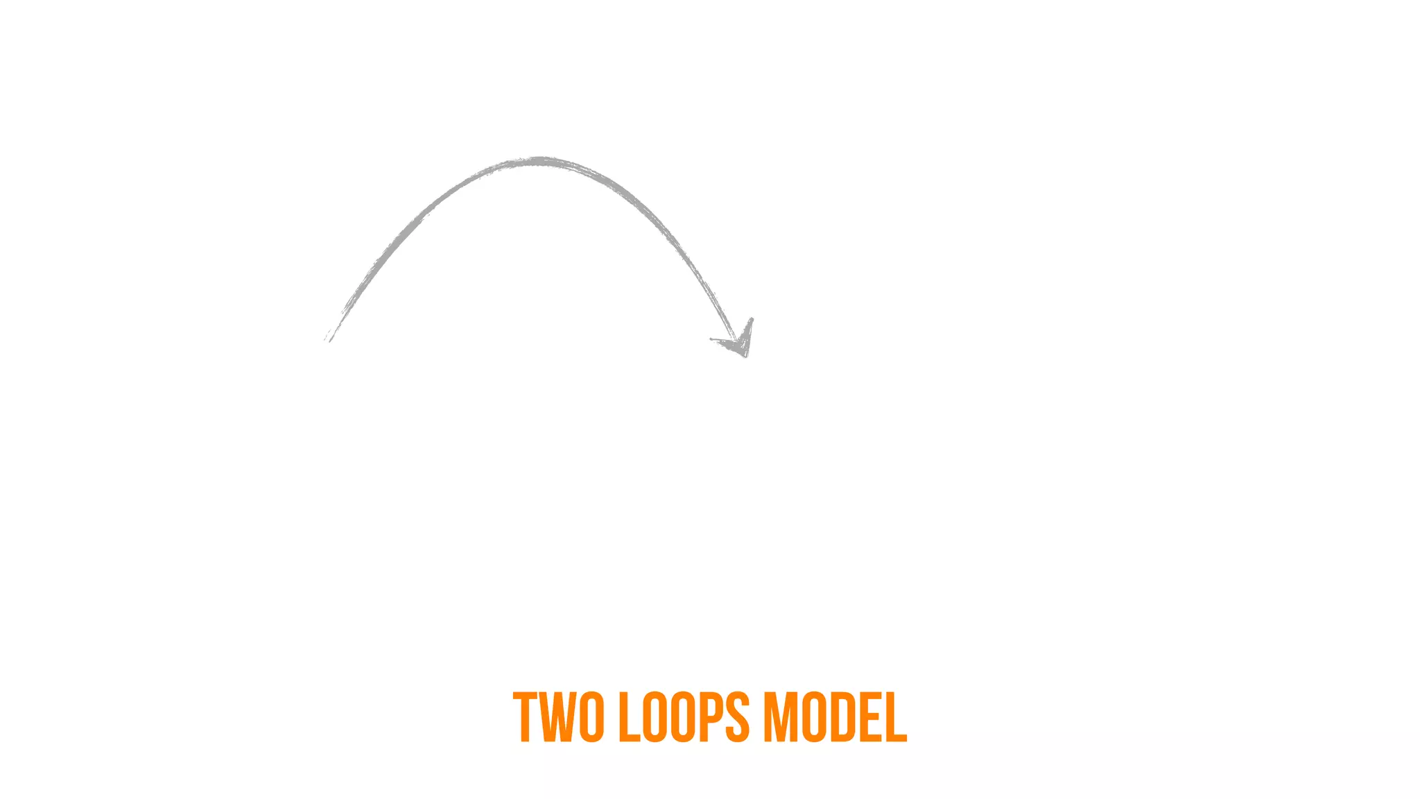 TWO LOOPS MODEL
 