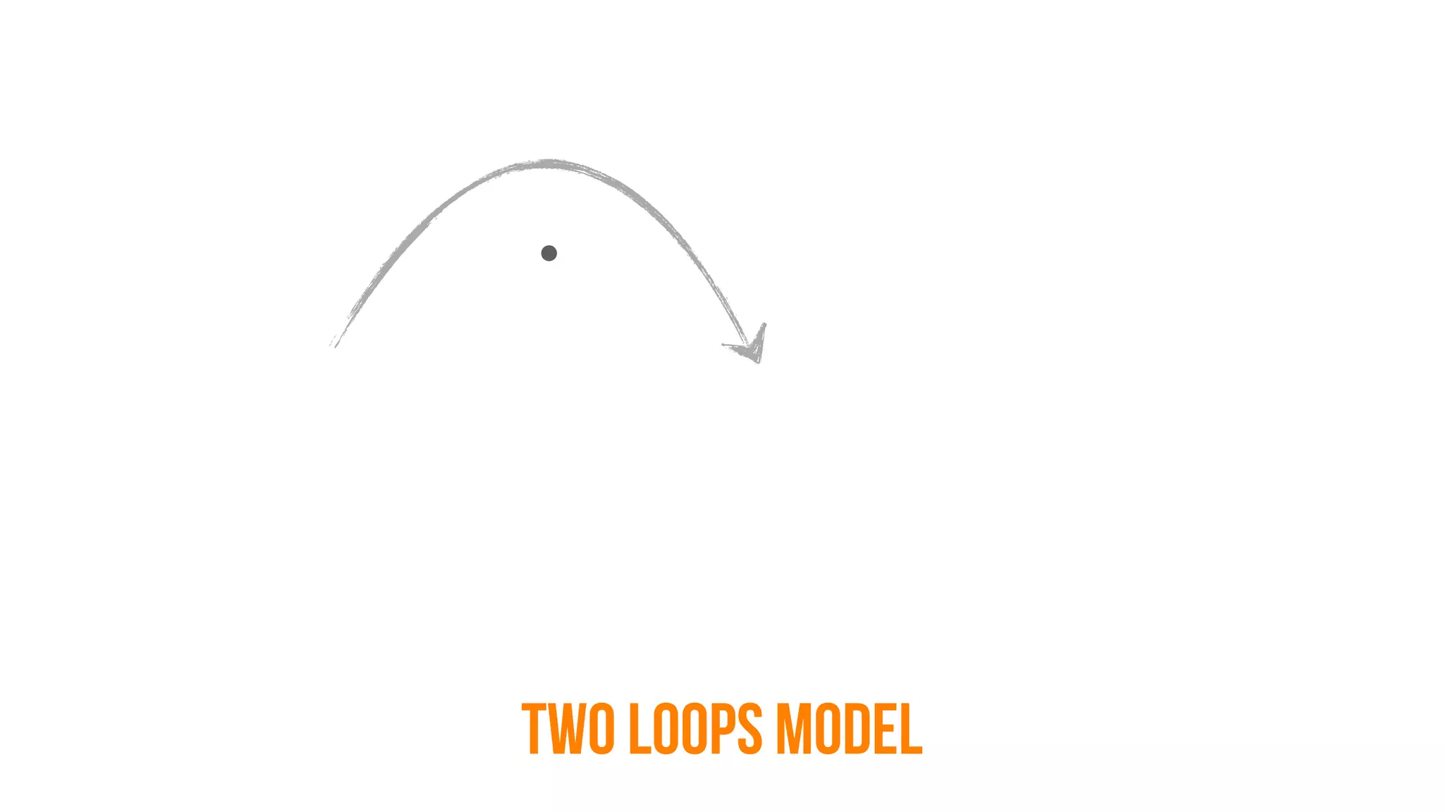 TWO LOOPS MODEL
 
