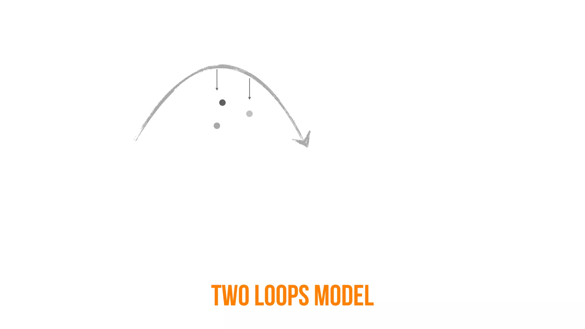 TWO LOOPS MODEL
 