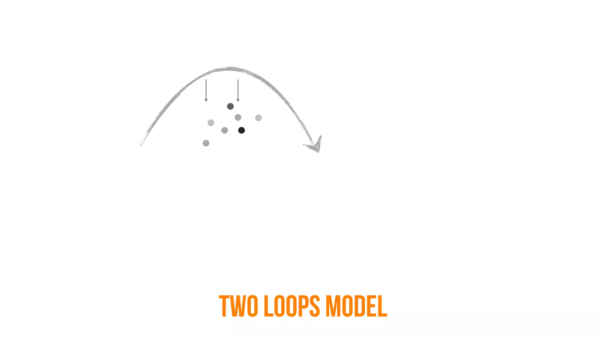 1.  NAME
TWO LOOPS MODEL
 