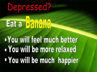 Depressed? Eat a  Banana You will feel much better You will be more relaxed You will be much  happier . . . 