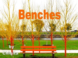 Benches Chiqita by 