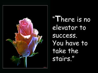 “ T here is no elevator to success.  You have to take the stairs.” 