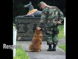 احترام Respect 