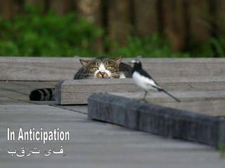 ِفى ترقب In Anticipation 