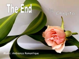 The End Chiqita by Music: Ambience Romantique 