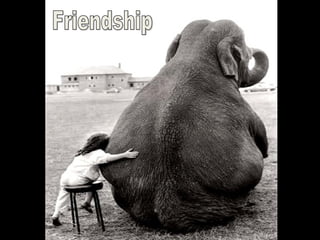 صداقة Friendship 