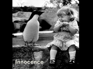 Innocence براءة 