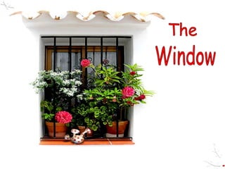 The Window 