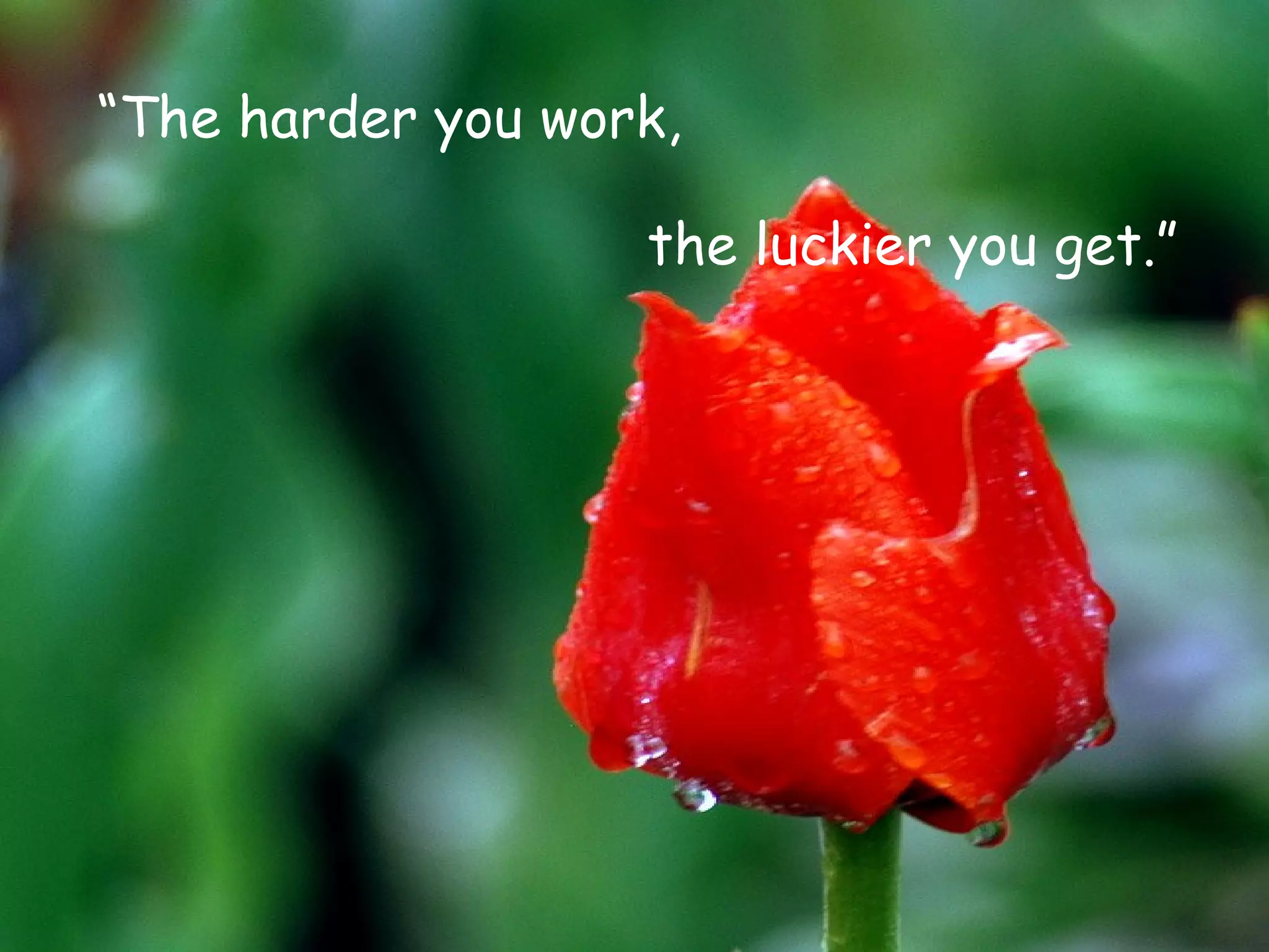 “ The harder you work,  the luckier you get.”   