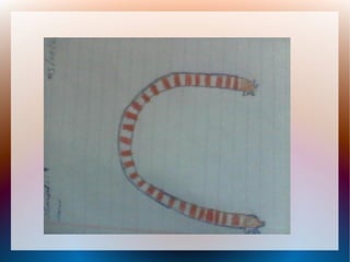 Proceso de la enciclopedia