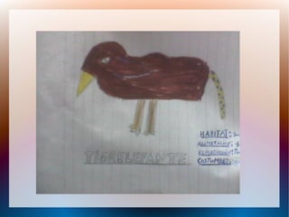 Proceso de la enciclopedia