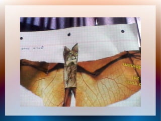 Proceso de la enciclopedia